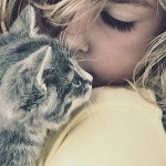 Женщину нужно любить, как кошку: ласкать, баловать, кормить и радоваться, что домой пришла…….