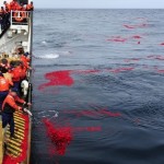 Члены экипажа катера береговой охраны США «Juniper» рассыпают 1,5 миллиона высушенных лепестков роз …
