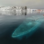 Затонувшая яхта в Антарктике……
