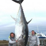 Самого большого тунца выловили у берегов Новой Шотландии…