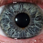Макросъемка человеческих глаз. Выглядит потрясающе….