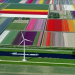 Поля тюльпанов, Голландия…