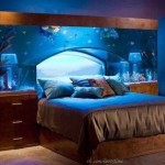Необычный аквариум! :)…