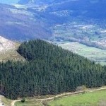 Сердцевидный Лес, Cantabria, Испания…