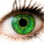 Большинство обладателей зеленых глаз – очень нежные и ранимые личности, они отличаются невероятной в…