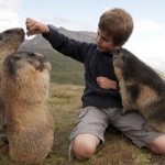 Восьмилетний Маттео Вальч четыре года назад обнаружил альпийских сурков и начал наблюдать за ними. И…