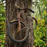 Мальчик оставил свой велосипед прикованным к дереву когда уходил на войну в 1914 году. Он не вернулс…