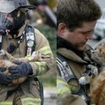 Спасая из горящего дома котят, английский пожарный Виктор Джеркофович не стал тратить время на спасе…