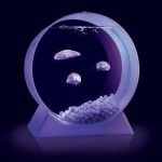 Аквариум с маленькими медузами….