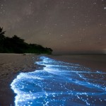 Светящийся планктон на пляже острова Ваадху, Мальдивы….