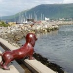 Вот такой трогательный памятник верной Таксе, ждущей своего хозяина — рыбака, установлен в Норвегии,…