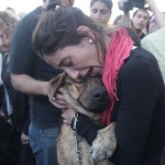 Эта девушка нашла своего пса, спустя 2 недели, после наводнения в Ла-Плата, Аргентина…….