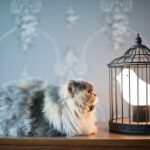Интересный светильник…