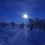 Тундра, снятая днем во время полярной ночи…