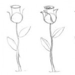 Как правильно и легко нарисовать розу….