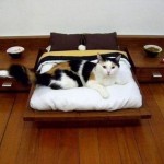 Кровать для кошки…