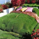 Кровать в саду…