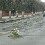 Сергей Собянин провел собрание по поводу дорог России,и принял решение,что бы ямы не пустовали, сажа…