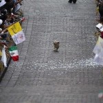 Народ Мексики выстроился вдоль улиц, чтобы поприветствовать Папу Римского. Эта собачка думала иначе….