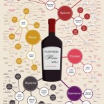 Типы вина по стилю и вкусу. Инфографика…