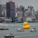 Вот такая утка плавает в гавани Гонконга…