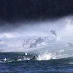 Дельфины играют в волнах у восточного побережья ЮАР в регионе Транскей…
