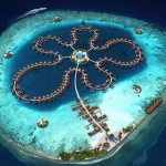 Красивый цветок океана, Мальдивы…