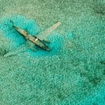 Затонувший самолёт, Багамы…