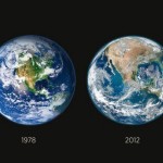 Снимки NASA. Вырубка лесов в Америке