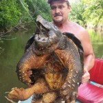 Рыбак поймал доисторическую черепаху весом в 45 килограммов