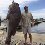 Американский рыбак поймал у берегов Луизианы черного групера (также известен как варшавский каменный окунь) весом 134,7 килограмма.