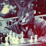 В «Elder Scrolls VI» планируется добавление мини-игр типа шахмат для каджитов