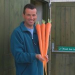 Доктор Попов не остановился на своих плодово-ягодных экспериментах и перешел на морковь