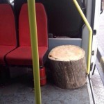 В дубайских автобусах кресла для самых богатых пассажиров сделаны из чистого дерева