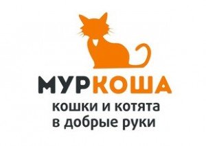 Приют Муркоша отзывы
